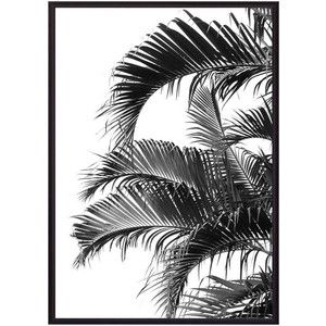 Постер в рамке Дом Корлеоне Пальмовые листья 50x70 см