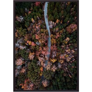 Постер в рамке Дом Корлеоне Осенний лес с высоты 30x40 см