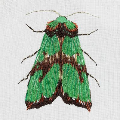 Набор для вышивания Panna ЖК-2179 "Зеленый мотылек"