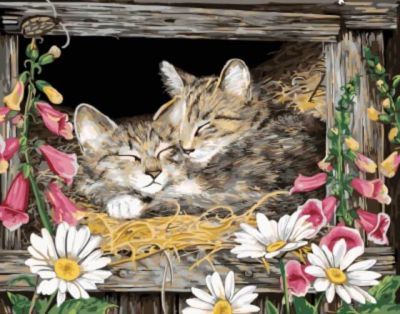 Набор для рисования по номерам Цветной gx5606 «Котята в гнезде»