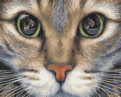 Набор для рисования по номерам Цветной gx31984 "Кошачьи глаза"