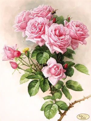 Основа для вышивания с нанесённым рисунком Tela Artis ТК-073 - Английские розы - схема для вышивания (Tela Artis)