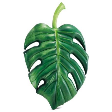 Матрас Intex Пальмовый листок 142x213 см зеленый