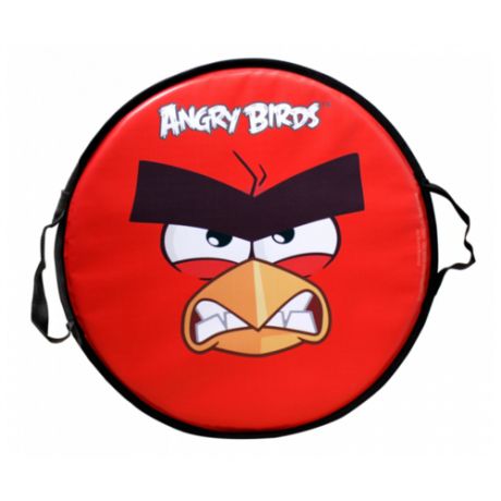 Ледянка 1 TOY Angry birds (Т58162) красный