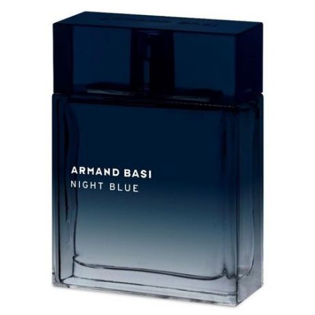 Туалетная вода Armand Basi Night Blue, 100 мл