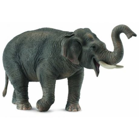 Фигурка Collecta Азиатский слон 88486