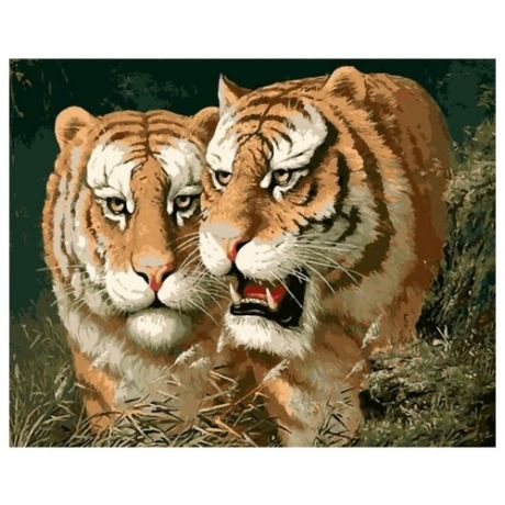 Рыжий кот Картина по номерам "Два тигра" 30х40 см (G1818)