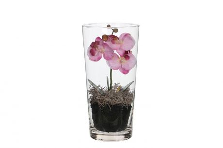 Искусственное растение в стеклянной вазе Фаленопсис