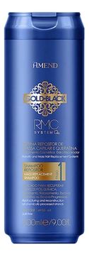 Amend Шампунь Capillary Mass and Keratin Repositioning Shampoo Gold Black RMC System Q+  с Кератином для Восстановления Поврежденных Волос, 300 мл
