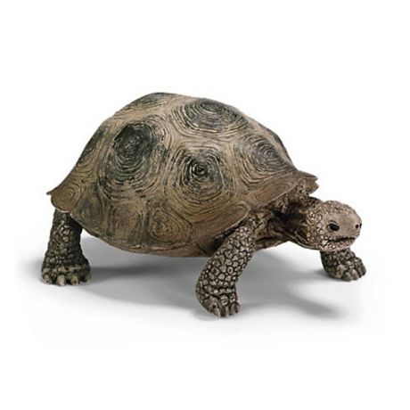 Schleich Schleich Гигантская черепаха. Серия "Дикие животные"