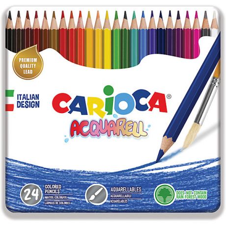 Carioca Набор цветных карандашей Carioca "Acquarell", 24 матовых цвета