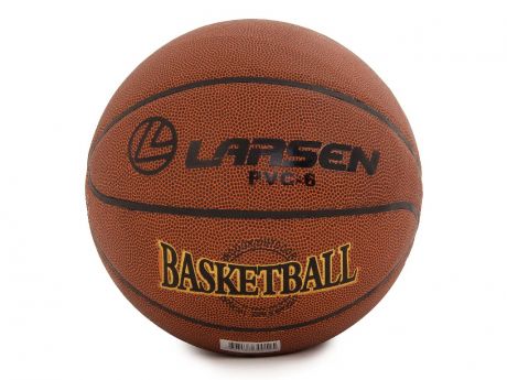 Мяч Larsen PVC6 р.6 126848