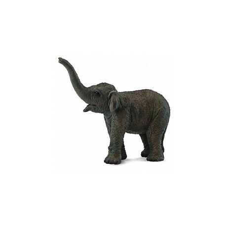 Collecta Коллекционная фигурка Collecta Азиатский слонёнок, S