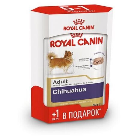 Влажный корм для собак Royal Canin Чихуахуа 5+1 шт. для здоровья кожи и шерсти 6шт. х 85г