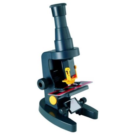 Микроскоп Edu Toys MS015 черный