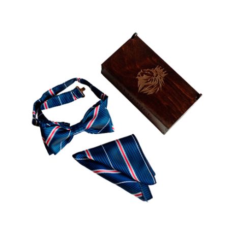 Комплект из 2 предметов Valderice галстук-бабочка и платок VLD0501 темно-синий