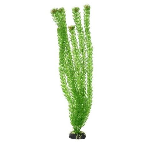 Искусственное растение BARBUS Амбулия 50 см зеленый