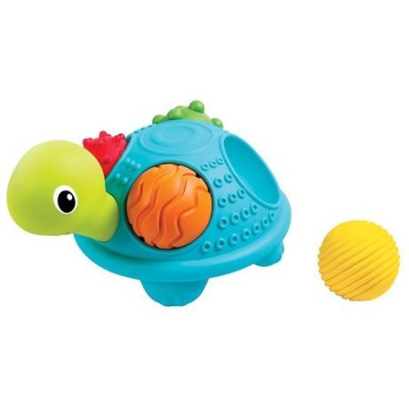 Развивающая игрушка B kids Sensory Черепашка голубой/зеленый