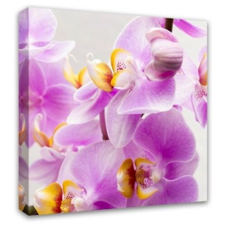 Картина Симфония Орхидея 40х40 см