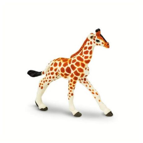 Фигурка Safari Ltd Wildlife Детёныш сетчатого жирафа 268529