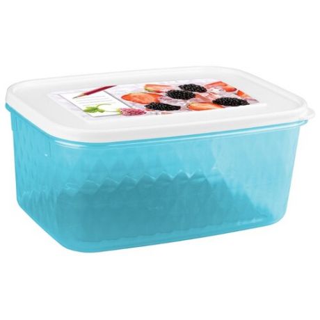 Phibo Контейнер Кристалл для хранения и замораживания продуктов с декором 1,3 л голубой/белый
