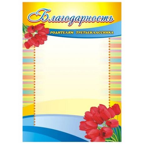 Благодарственное письмо Учитель Родителям третьеклассника КЖ-568, А4 желтый/синий