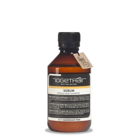 Togethair Нормализующий шампунь для жирной кожи головы и жирных волос 250 мл (Togethair, Scalp Treatments)