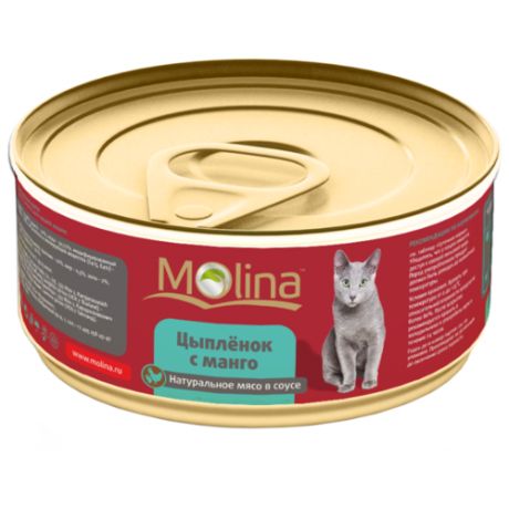 Корм для кошек Molina (0.08 кг) 1 шт. Консервы для кошек Цыпленок с манго в соусе