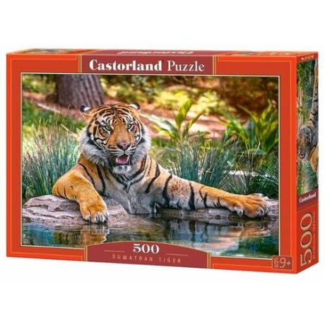 Пазл Castorland Sumatran (B-52745), 500 дет.