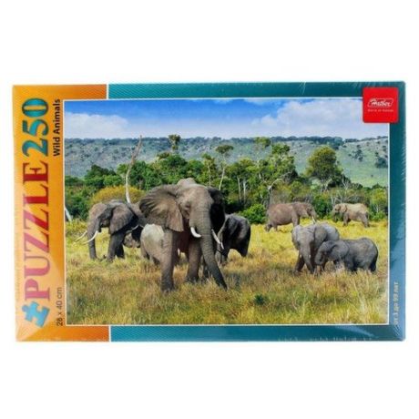 Пазл Hatber Wild animals Слоны в саванне (250ПЗ3_11214), 250 дет.