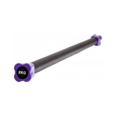 Гимнастическая палка Magnum HKFL110 2 кг фиолетовый