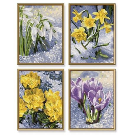 Schipper Картины по номерам "Весеннее пробуждение цветов" 18х24 см, 4 шт (9340713)