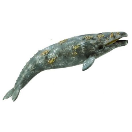 Фигурка Collecta Серый кит 88836