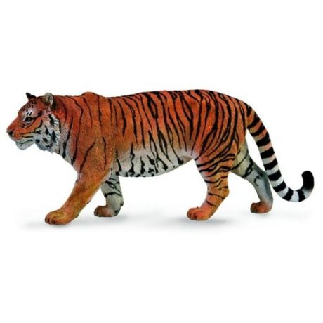 Фигурка Collecta Сибирский тигр 88789