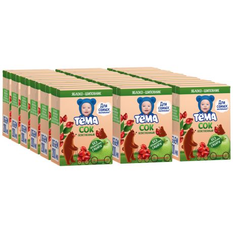 Сок Тёма Яблочно-шиповниковый осветленный для питания детей с 5 месяцев 18 штук по 200 мл