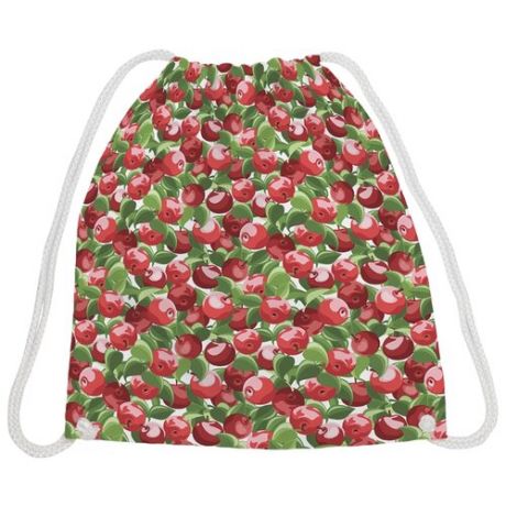 JoyArty Рюкзак-мешок Яблочный сад (bpa_50770) красный/зеленый