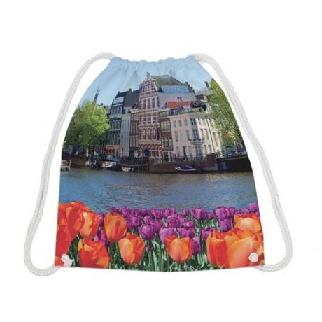 JoyArty Рюкзак-мешок Городской пейзаж с тюльпанами (bpa_30777) синий/красный
