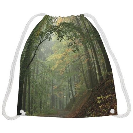 JoyArty Сумка-рюкзак Спокойный лес (bpa_37350) зеленый