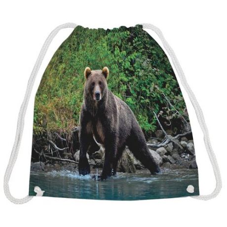 JoyArty Рюкзак-мешок Медведь в реке (bpa_35718) зеленый/коричневый/синий