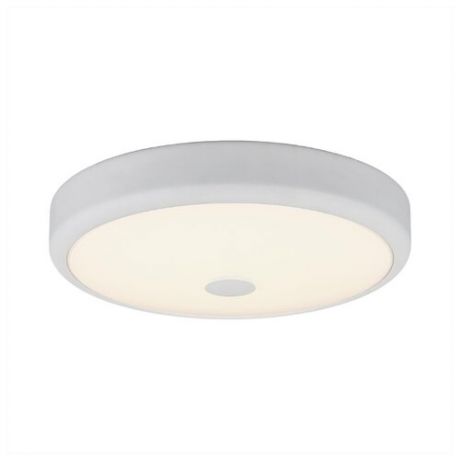 Светильник светодиодный Citilux Фостер-1 CL706130, LED, 30 Вт