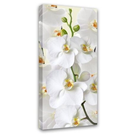 Картина Симфония Белая орхидея 50х100 см