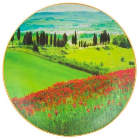 Блюдо декоративное Elan gallery Зеленый луг и маковое поле, 20 см зеленый/красный