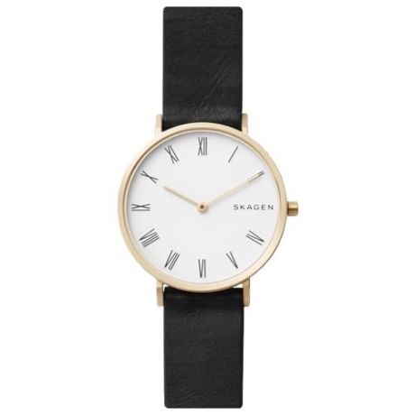 Наручные часы SKAGEN SKW2678