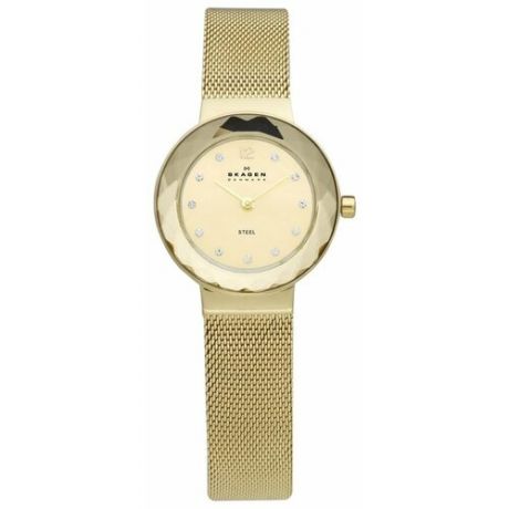 Наручные часы SKAGEN 456SGSG