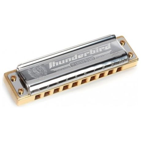 Губная гармошка Hohner Marine Band Thunderbird (M201113X) D Low, бежевый/серебристый