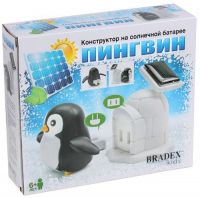 Конструктор на солнечной батарее Bradex DE 0198 "Пингвин"