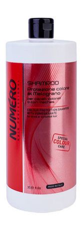 Brelil Numero Hair Professional Colour Protection Shampoo with Pomegranate