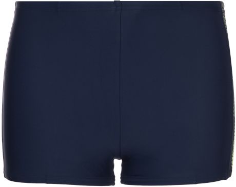 Speedo Плавки-шорты для мальчиков Speedo, размер 164