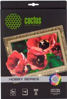 Холст Cactus CS-СA426010