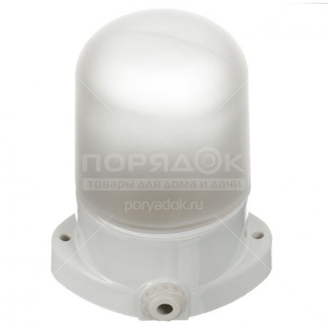 Светильник TDM Electric SQ0303-0048 для сауны настенно-потолочный, белый, IP54, 60 Вт